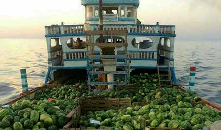 صادرات «مفت آب» از ایران کمآب صادرات «مفت آب» از ایران کمآب