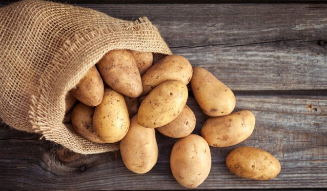 رئیس اتحادیه بارفروشان تهران: سیب زمینی گران میشود رئیس اتحادیه بارفروشان تهران: سیب زمینی گران میشود