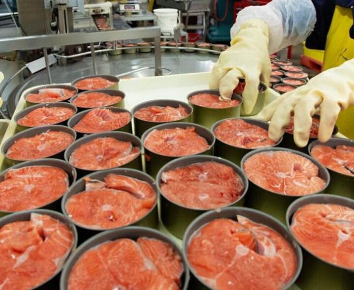 تن ماهی هم لاکچری شد! تن ماهی هم لاکچری شد!