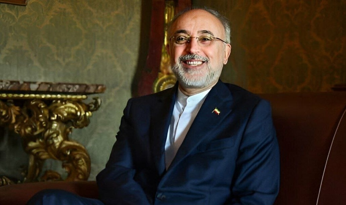 علی اکبر صالحی نامزد انتخابات ریاست جمهوری می شود؟ علی اکبر صالحی نامزد انتخابات ریاست جمهوری می شود؟