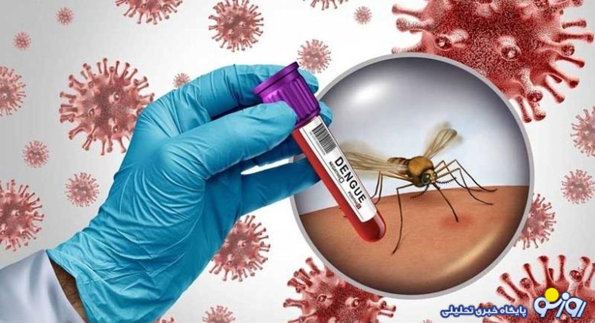 جزییات جدید درباره تب دنگی؛ آمار تلفات جزییات جدید درباره تب دنگی؛ آمار تلفات