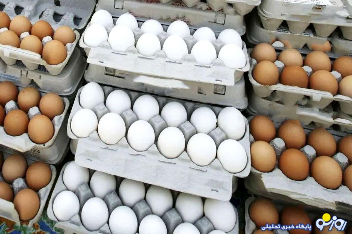 قیمت جدید هر شانه تخم مرغ چند؟