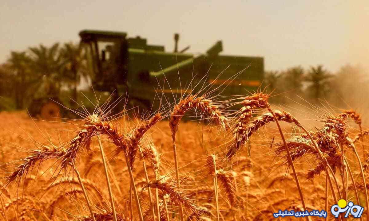 پورمحمدی: تمام مطالبات گندمکاران پرداخت شده است