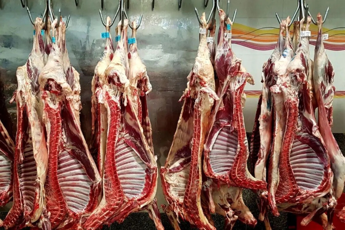 قیمت جدید گوشت قرمز امروز ۸ تیر ۱۴۰۵