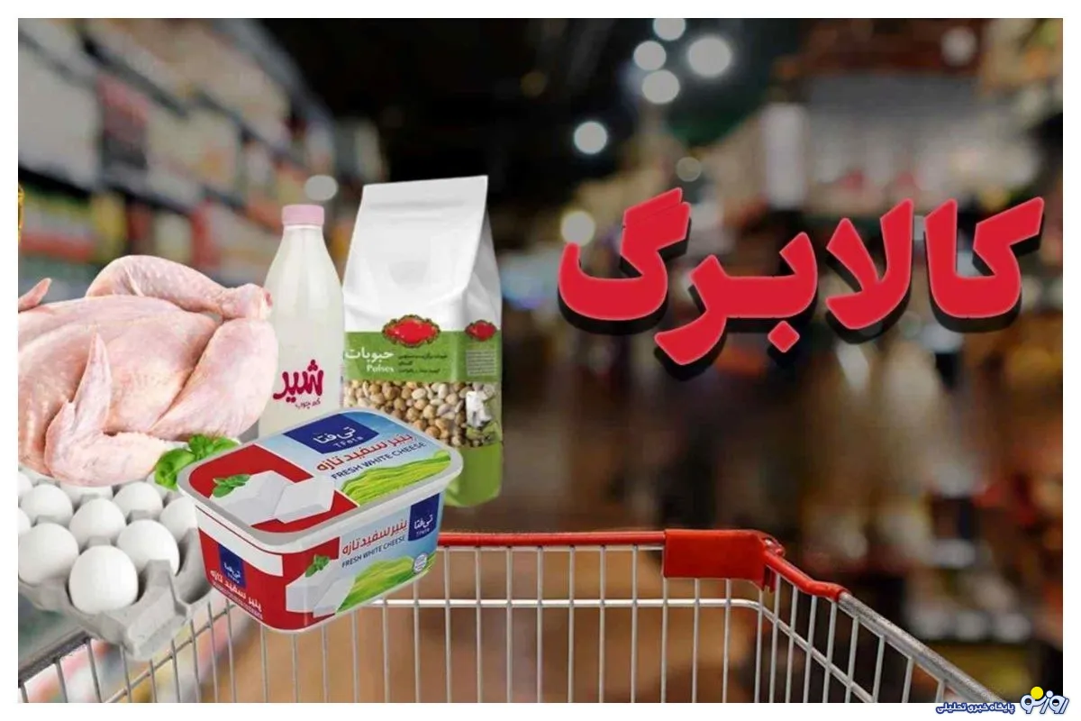کالا برگ